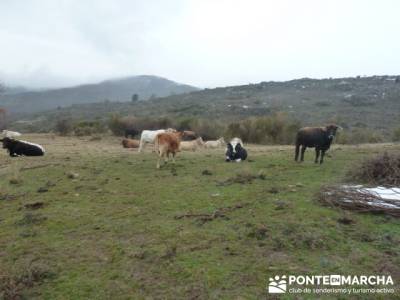 Somosierra - Camino a Montejo;municipios de toledo;rutas senderismo sierra de madrid